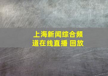 上海新闻综合频道在线直播 回放